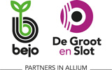 Partners in Allium - Bejo en De Groot en Slot