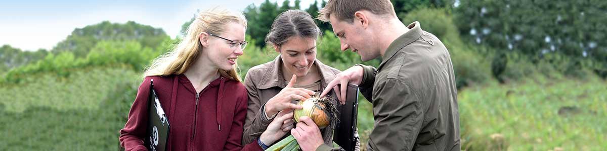Kennis delen scholen