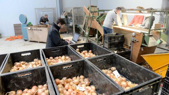 Hyroad uien proeven draaien De Groot en Slot