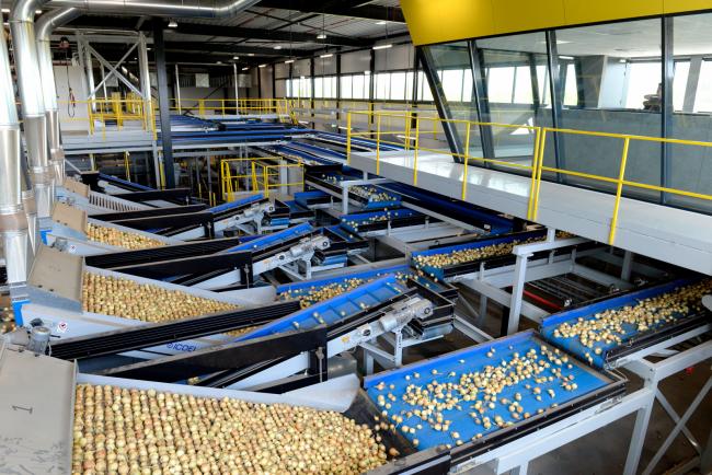 Factory of Future