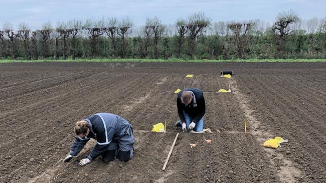 Planten VO-veldjes