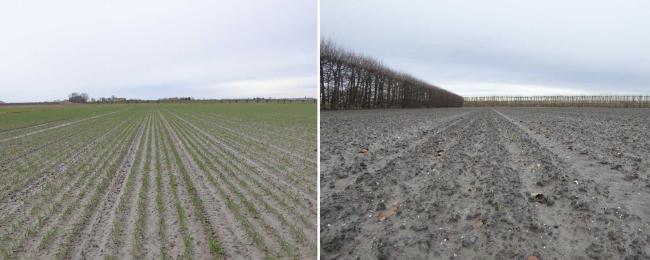 210121 Winterplantuien Troy