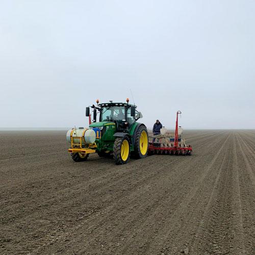210318 Uien zaaien is raaien