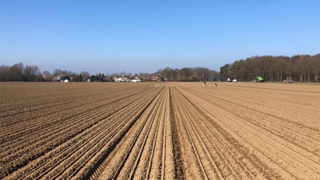 210318 Plantuien planten