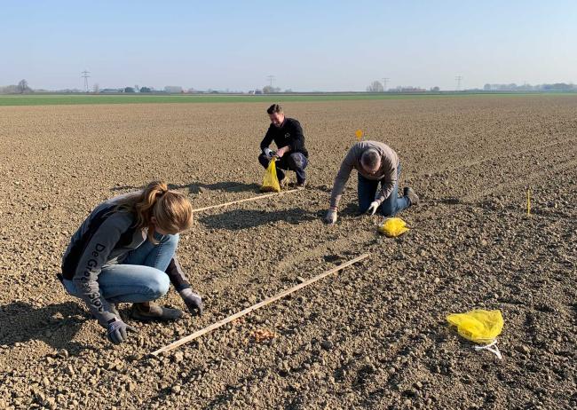 220323 plantuien planten Lewedorp