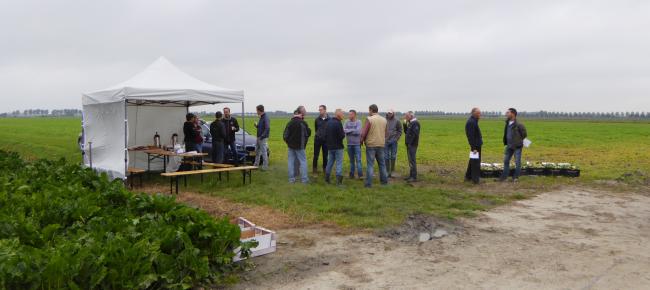 Demo zaaiuien Haarlemmermeer