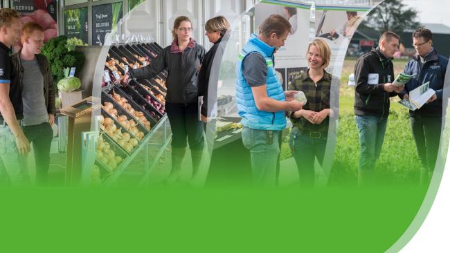 Innovaties en nieuwe uienrassen tijdens de Bejo Open dagen