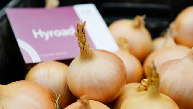 Hyroad uienras De Groot en Slot