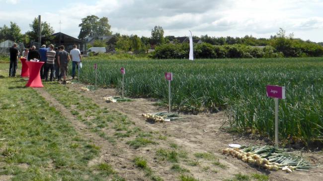 190625 Plantuien demodag in Voorne-Putten