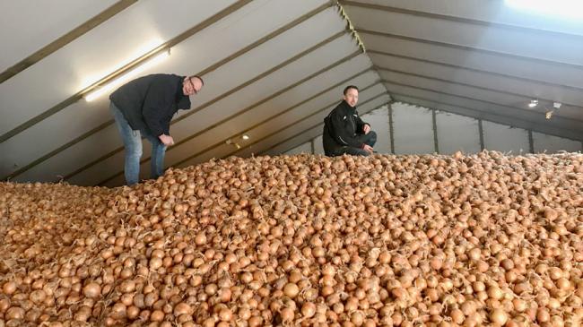 Uitmuntend box bekijken