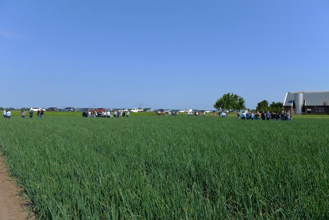 plantuien kennisdag