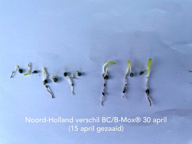 30 april