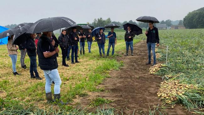 Plantuiendemo1.jpg