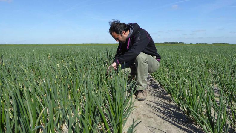 Plantuien De Groot en Slot