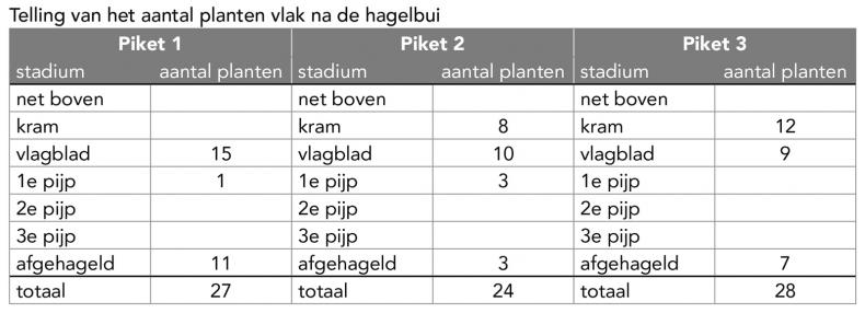 Herstel na hagelschade - tabel 1