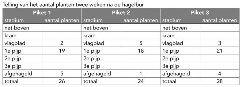 Herstel na hagelschade - tabel 2
