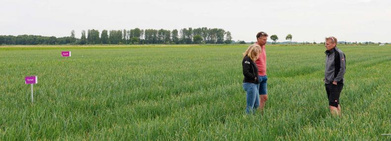 210722-Demodag-Bellingwolde3