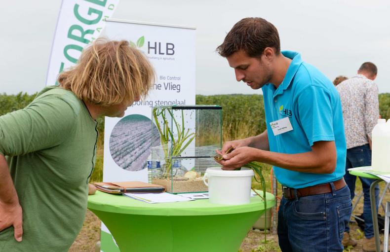 210722-Demodag-Bellingwolde4