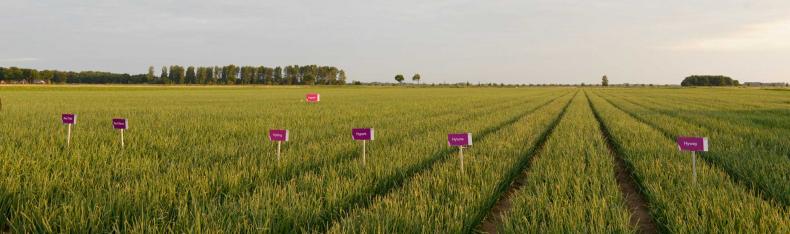 210722-Demodag-Bellingwolde5