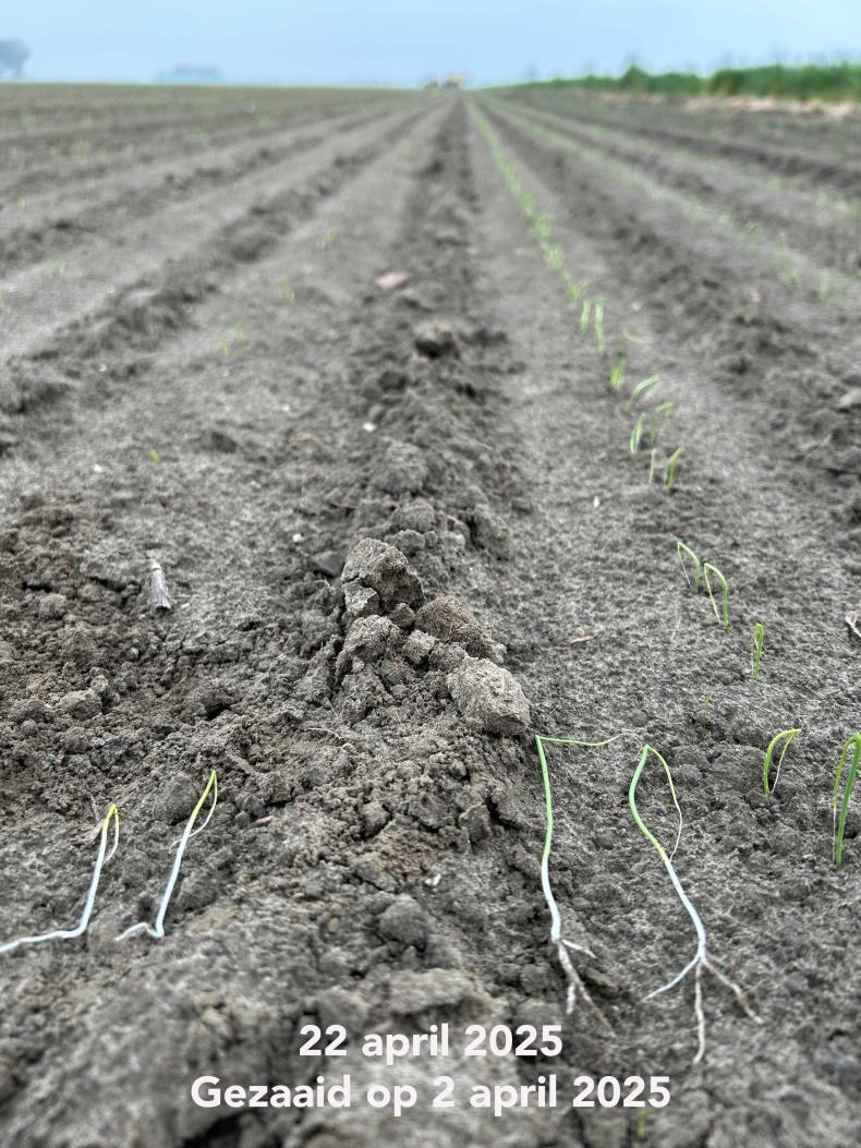 proefveld 22 april