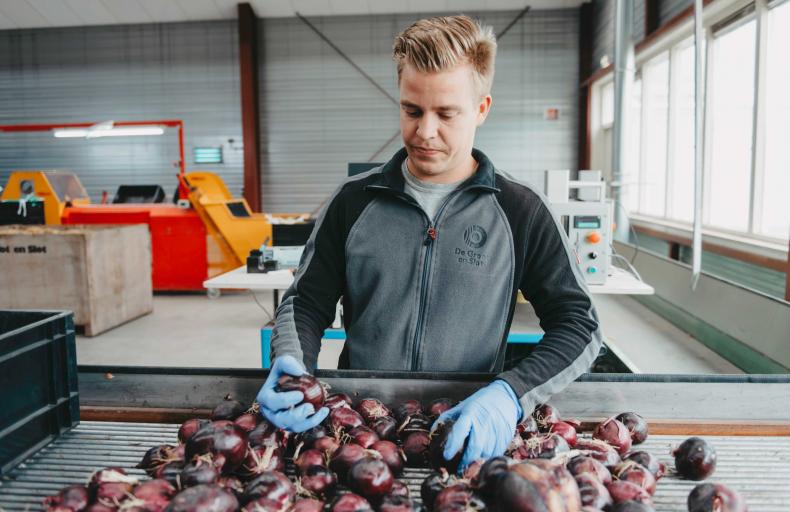 Werken bij DGS - je collega's