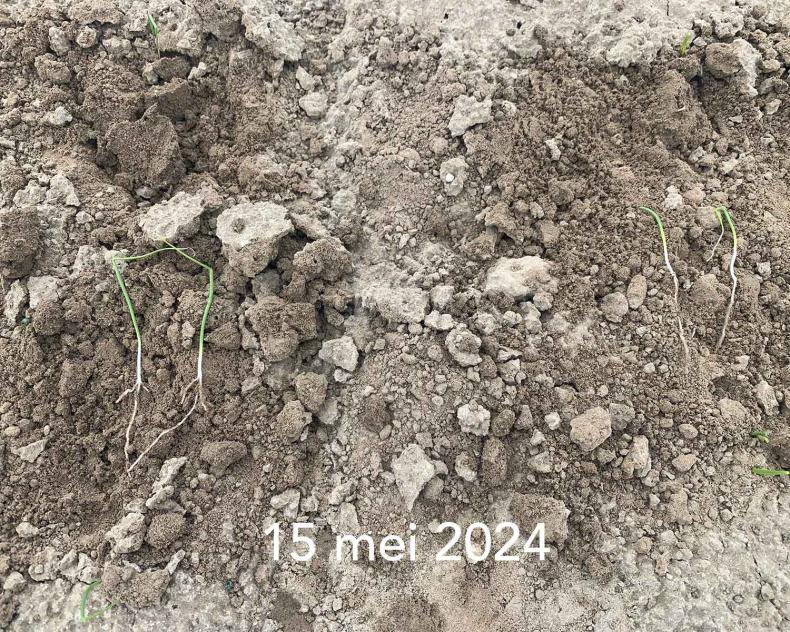 15 mei