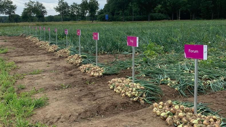 plantuiendemo3.jpg