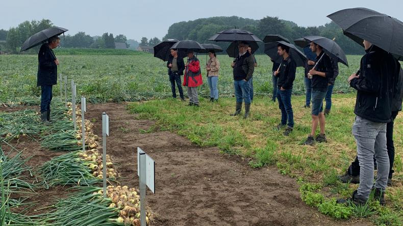 plantuiendemo2.jpg