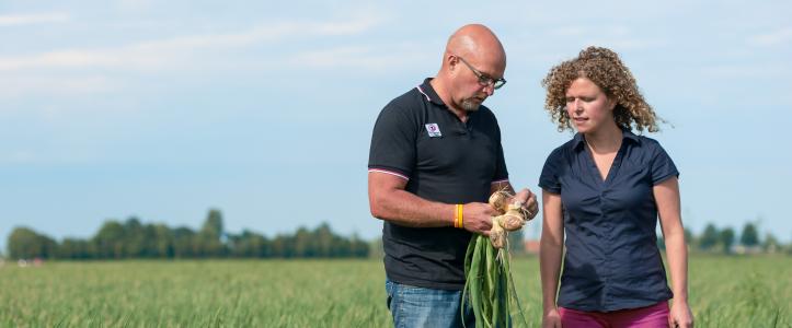 De Groot en Slot - Leading in Allium, inspired by you.