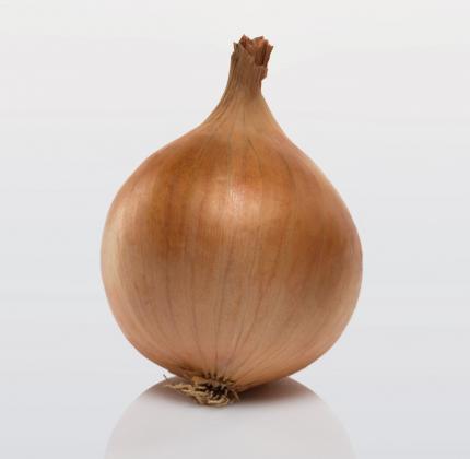 Boga