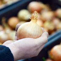 220324 Rassen van de toekomst